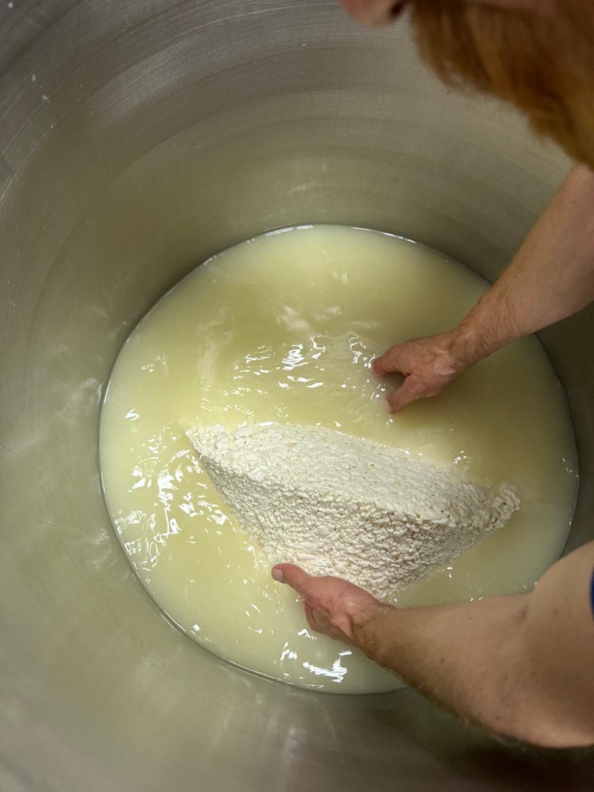 Mains soulevant le caillé frais hors du petit-lait dans le laboratoire Mozza.