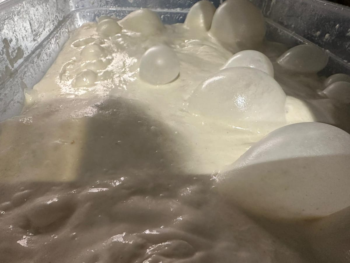 Boules de mozzarella fraîche dans la saumure laiteuse.